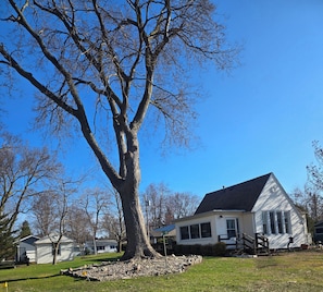 A house with a large tree in front, a well-maintained lawn, and a clear blue sky.