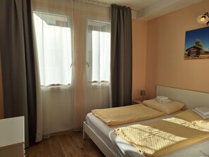 エコノミー アパートメント バルコニー マウンテンビュー | WiFi (無料)