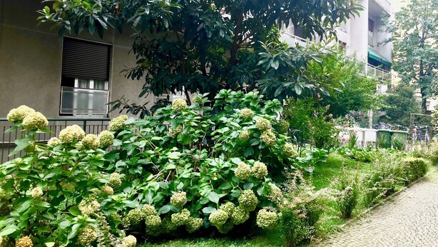 Un immeuble d’habitation doté d’un jardin luxuriant, avec une végétation abondante et des plantes en fleurs.