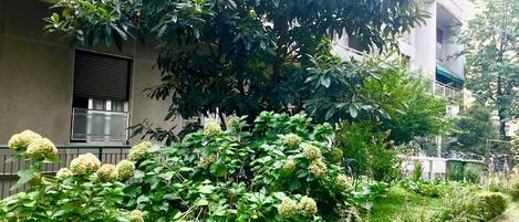 Jardines del alojamiento