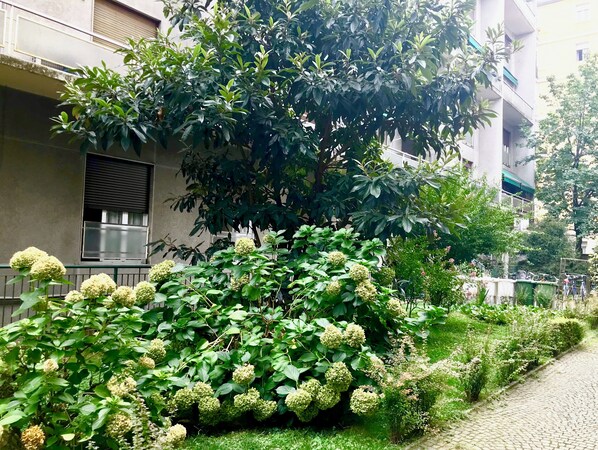 Property grounds - Lambrate gleaner (Milano)