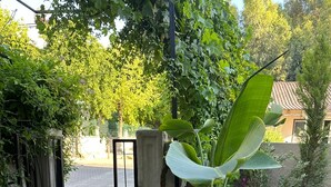 Un sendero pavimentado que conduce a una entrada con puerta, rodeado de abundante vegetación y plantas florecientes.