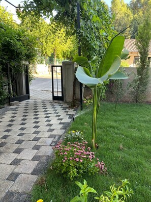 Comfort 1+1 Apart Daire, Balkonlu, Dag Manzarali | 花園