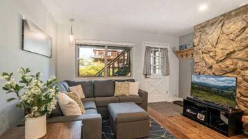 Televisión y chimenea