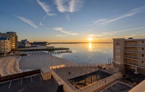 Property grounds - 2 Master Suites with a King and Queen Bed and Close to Seacrets (Ocean City)