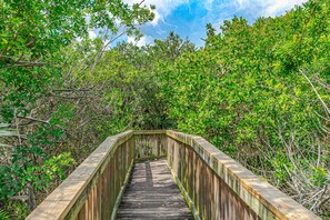 Property grounds - Oceanwalk Condo with Pool, Hot Tub, Tennis & Trails! Walk to no-drive beach! (New Smyrna Beach)