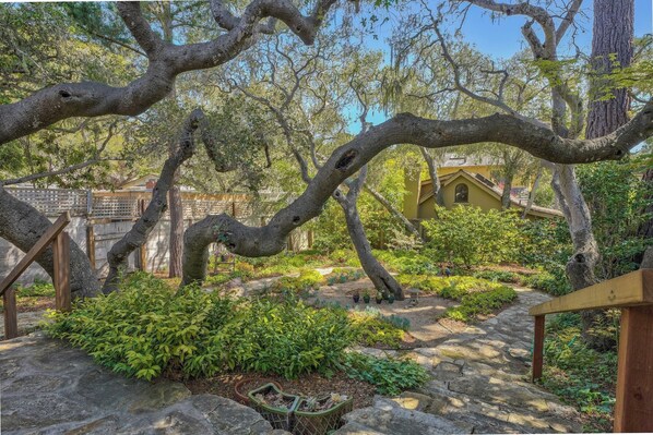 Property grounds - 4016 Ann's Cottage - Whimsical Carmel Home (Carmel)