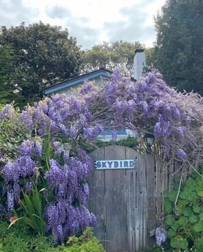 Property grounds - 4034 Skybird - Tranquil Cottage Near the Beach (Carmel)