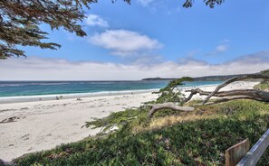 Playa en los alrededores 