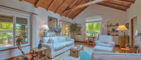 TV, fireplace, books