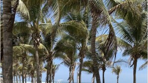 Beach nearby - TT-5-Acapulco Mexico getaway Ocean front Tiagotian (Acapulco)