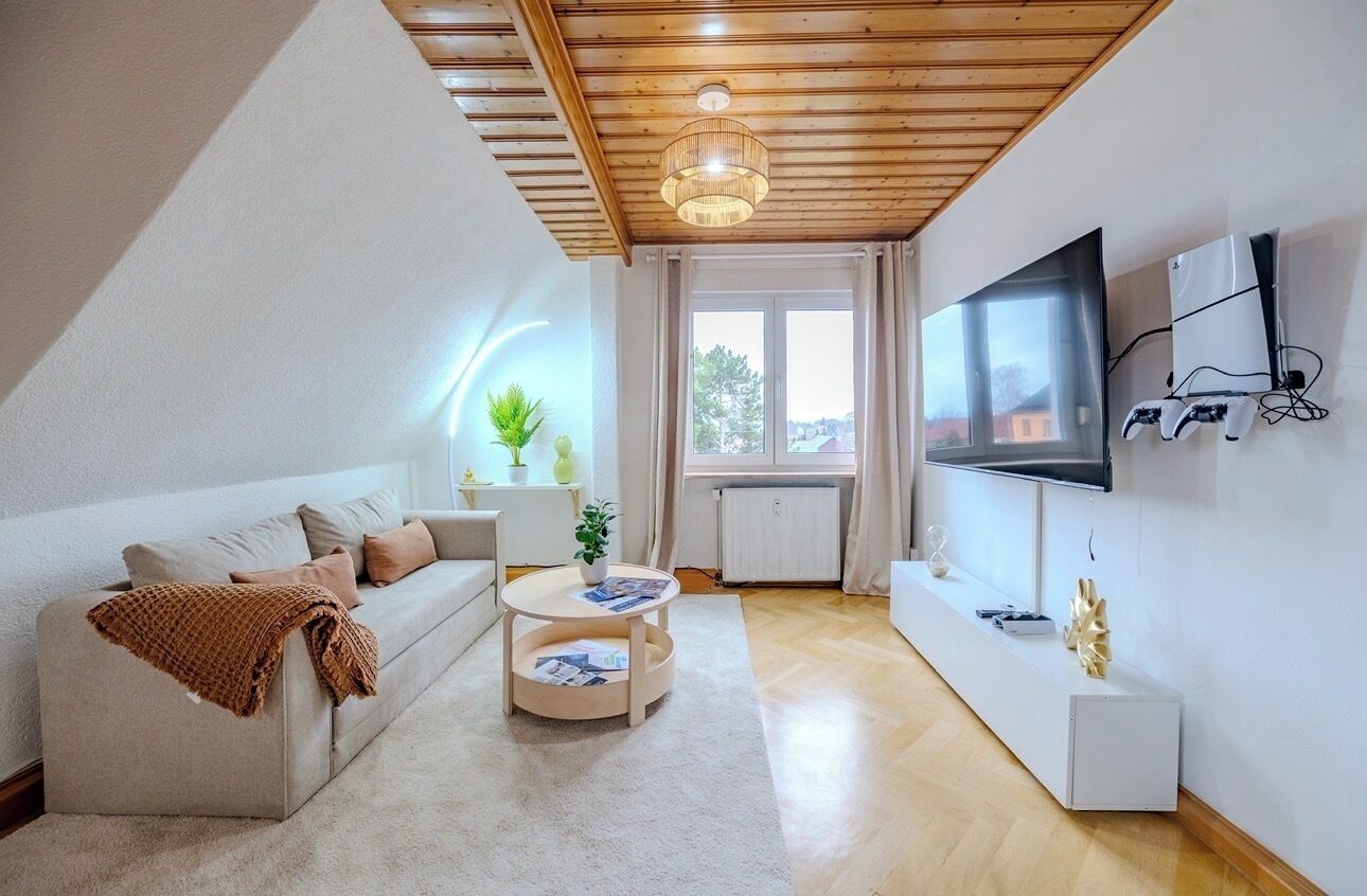 Smart TV, fireplace, video games, books