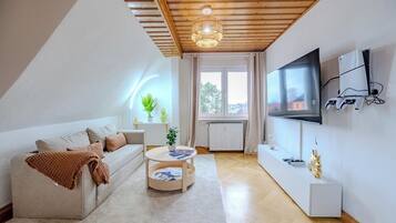 Smart TV, fireplace, video games, books