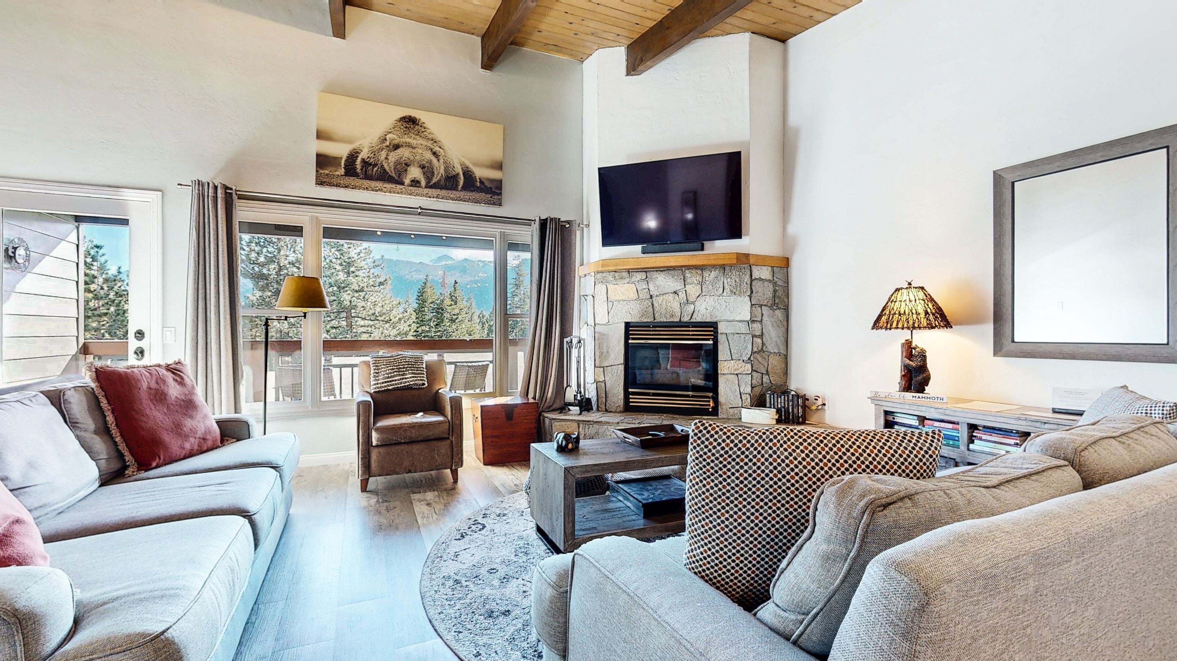 TV, fireplace