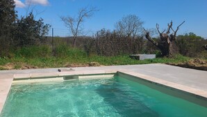 A rectangular swimming pool with clear water, surrounded by a concrete deck and a wire fence. - "L'Olivier" Vacation Rental - Avignon, Nîmes, Uzès, St. Rémy (Aramon)