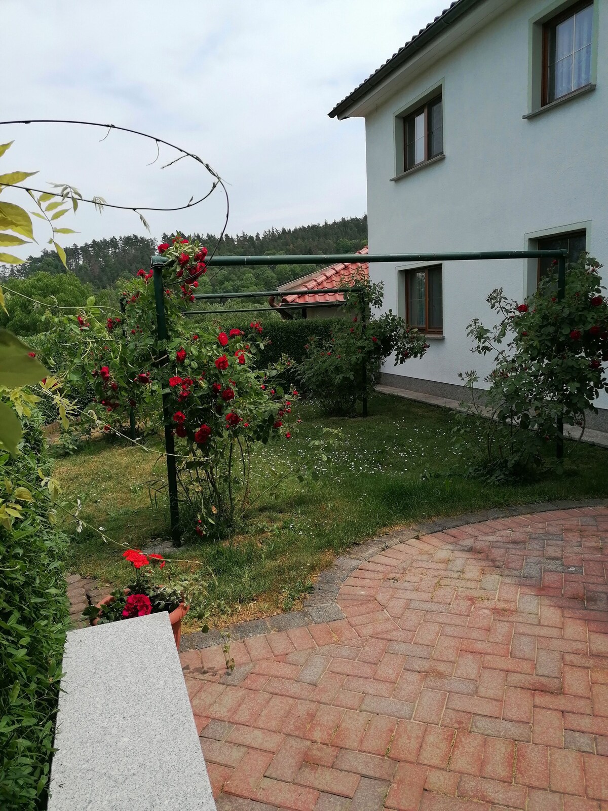 Bild für Gastgeberprofil