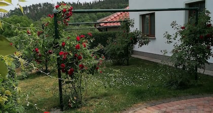 Vacation home with plenty of space for the whole family