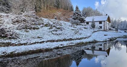 Nature estate with private pond and sauna - sleeps 10 - absolute calm 