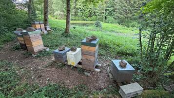 Overnattingsstedets uteområder