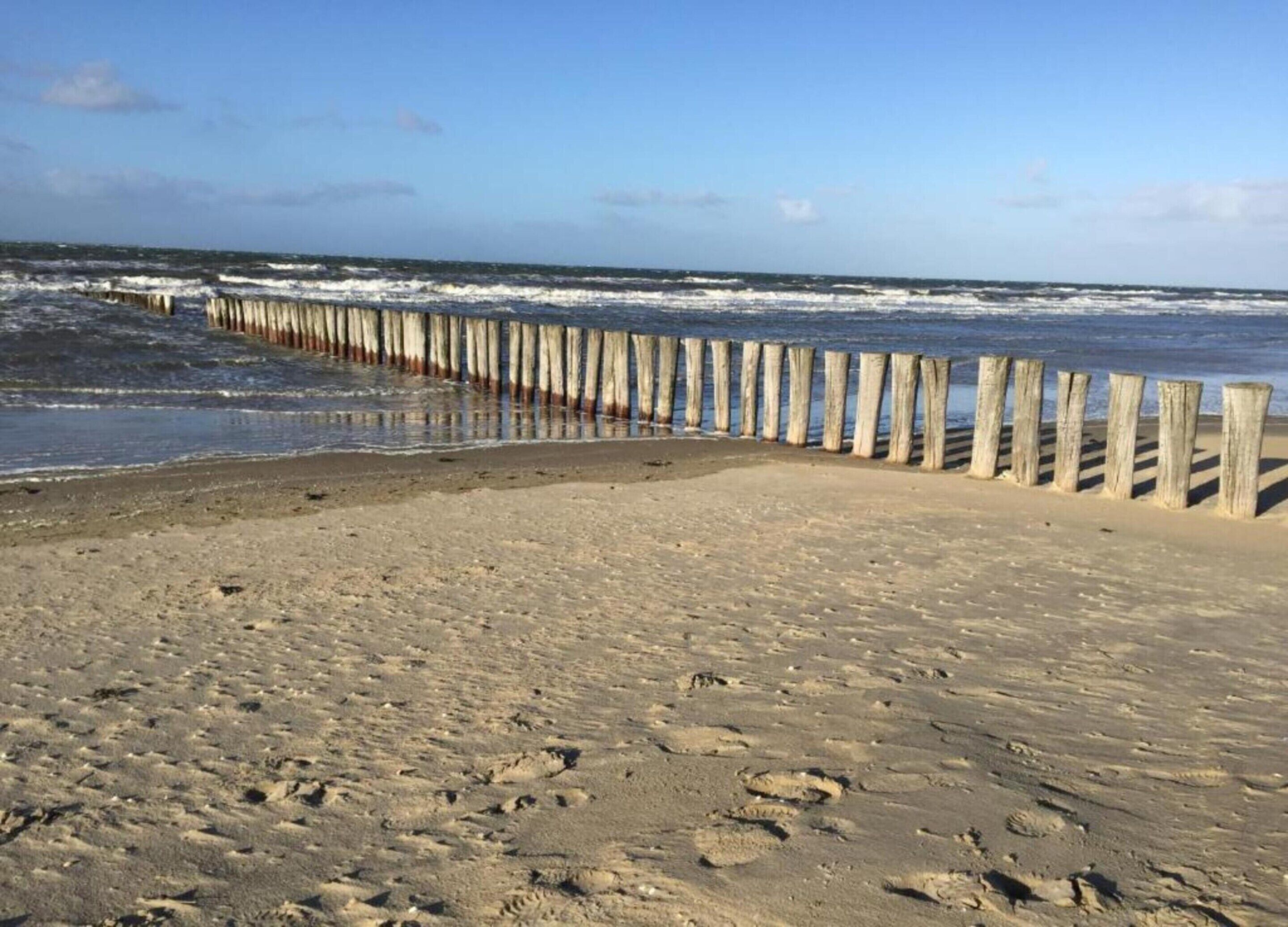 Chalet | View from property