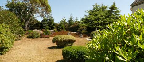 Overnattingsstedets uteområder