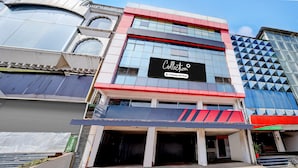 A modern building with a prominent 'Collection' sign, large windows, and a red and white facade.