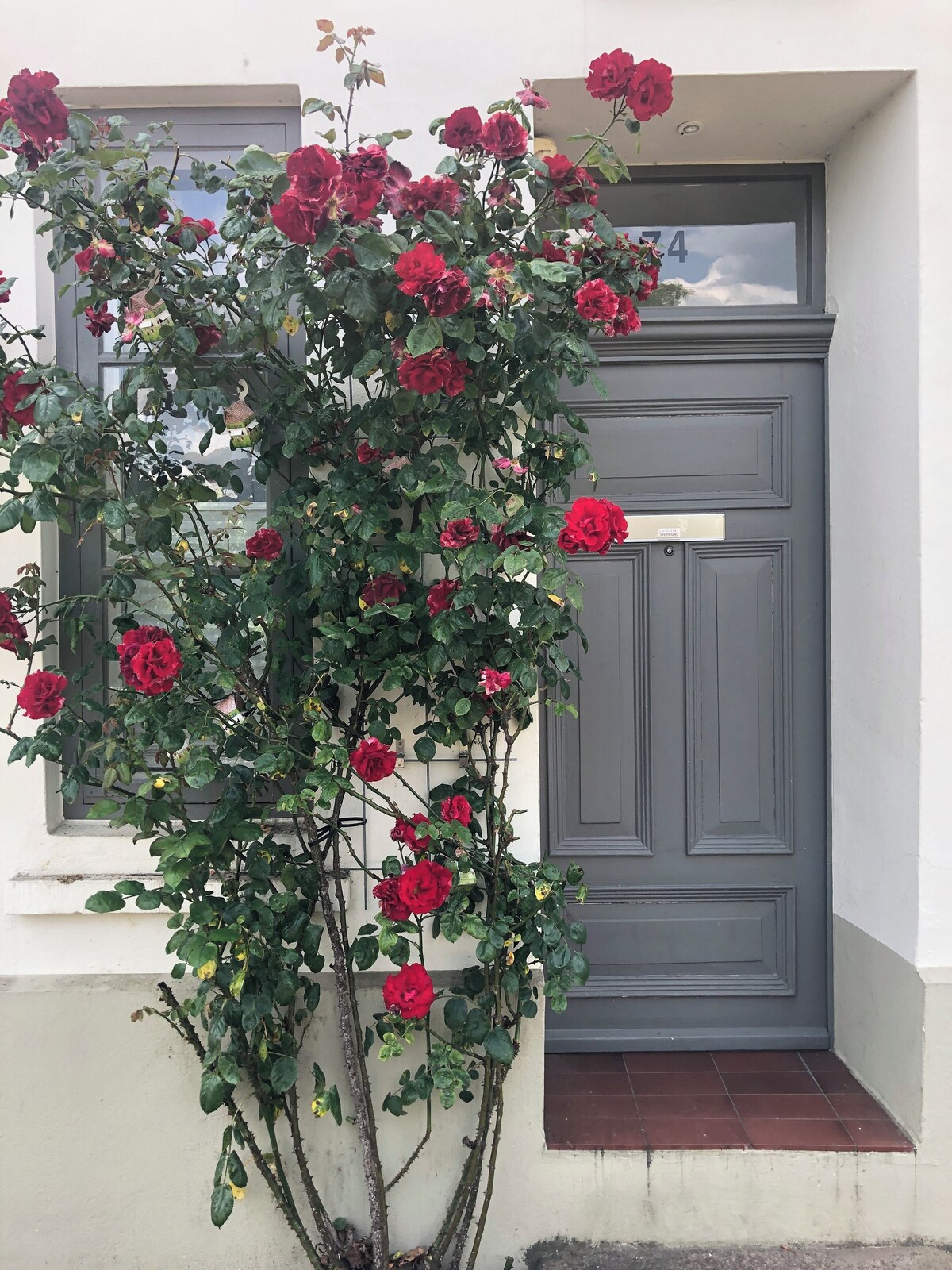 オーナーのプロフィール画像