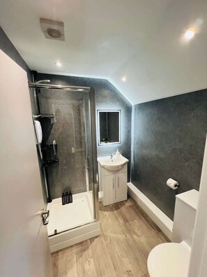 Hair dryer, towels, soap, toilet paper - Studio 4@Bransford Rd (Worcester)