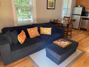 TV, stereo - Executive King Bungalow on Mount Sequoyah (Fayetteville)