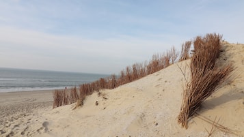 Chalet | Vista desde la propiedad