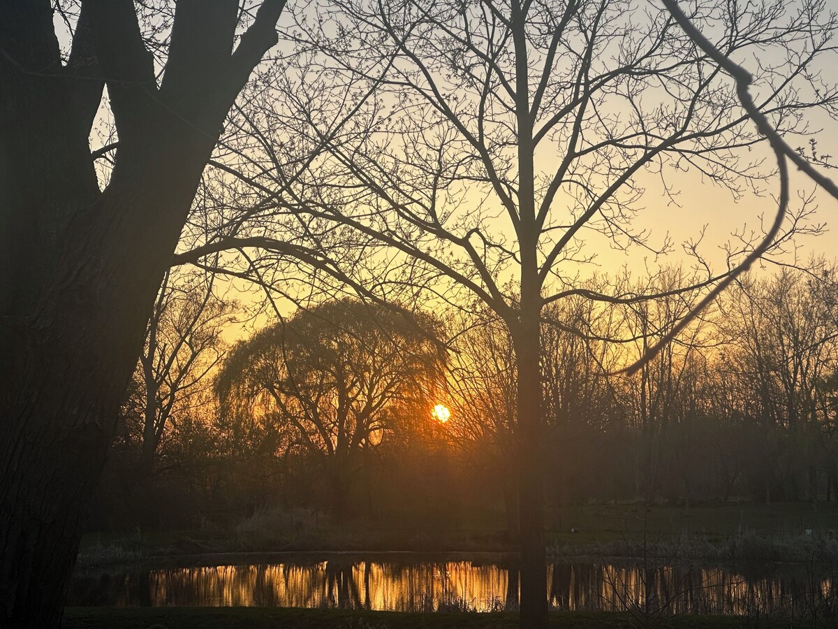 Imagen de perfil del propietario o de la propietaria