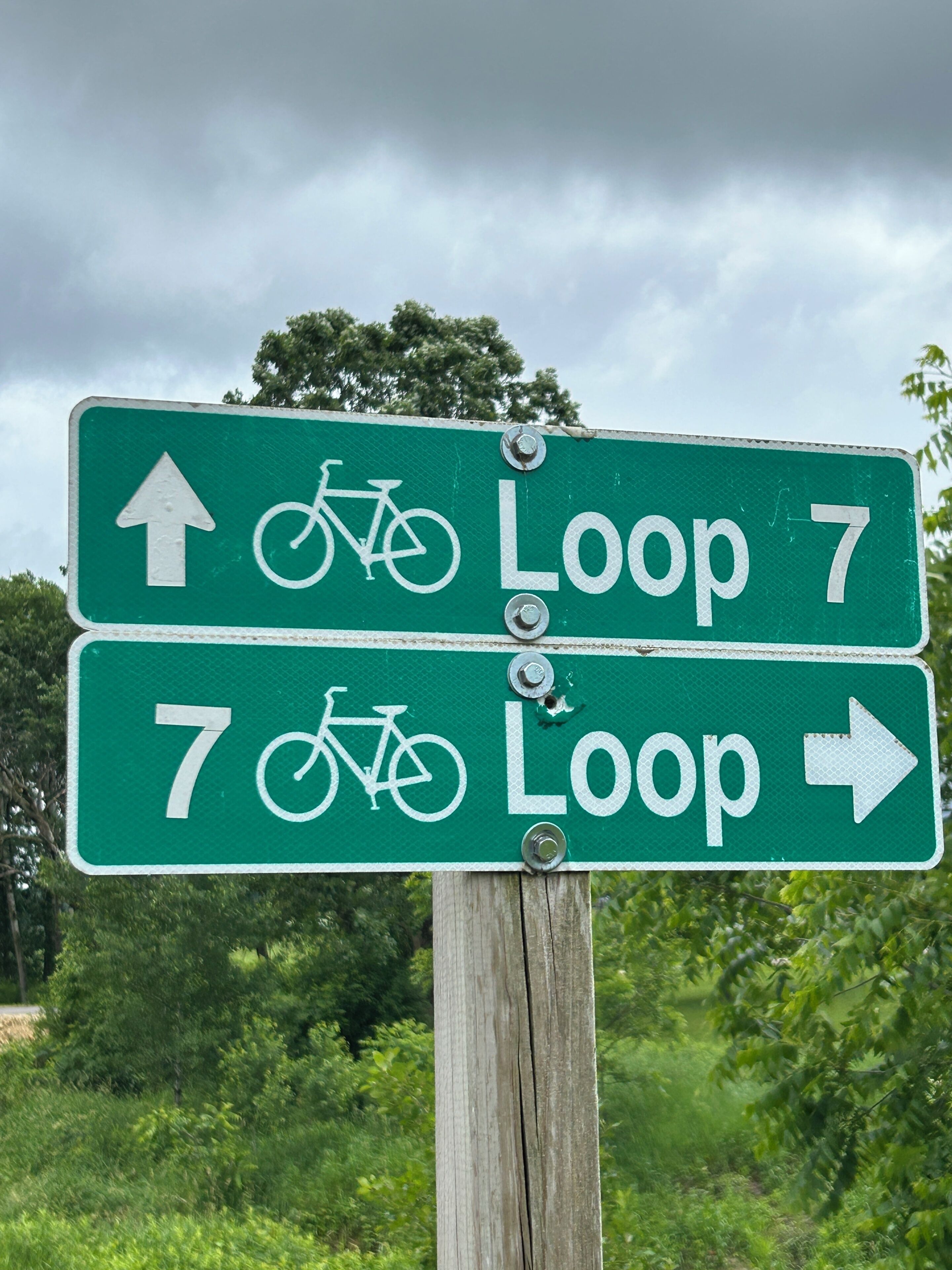 Señal direccional para el circuito en bicicleta 7, con flechas apuntando hacia arriba y a la derecha.