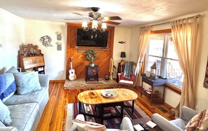 Smart TV, fireplace, books