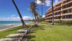 Property grounds - I B-Garden View with Ocean Front BBQ/Pool/Jacuzzi (Lahaina)