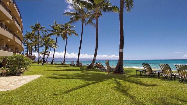 Área de lazer do resort, com palmeiras, espreguiçadeiras e vista para o mar.