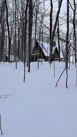 Property grounds - Cute Aframe on 5 private acres with hot tub, views and family-friendly (East Jordan)