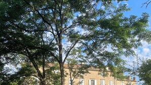 A building with multiple windows and a garden area with grass and trees. - La Manufacture Royale; exclusive heritage stay in booktown, south of France (Montolieu)