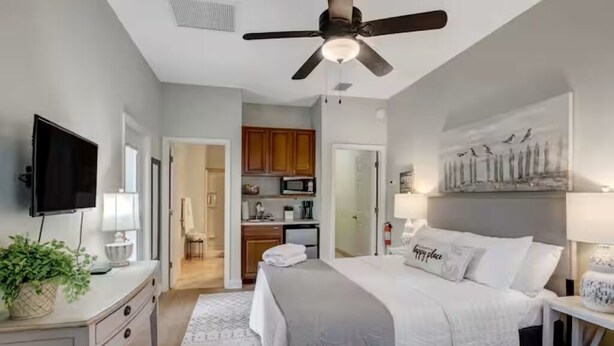 Une chambre à coucher avec un lit, une table de chevet et un ventilateur de plafond. Il y a un téléviseur accroché au mur et une plante posée sur la commode.