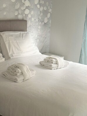 1 bedroom, iron/ironing board, travel cot, free WiFi - Rome apartment walking distance from the Vatican! (Roma)