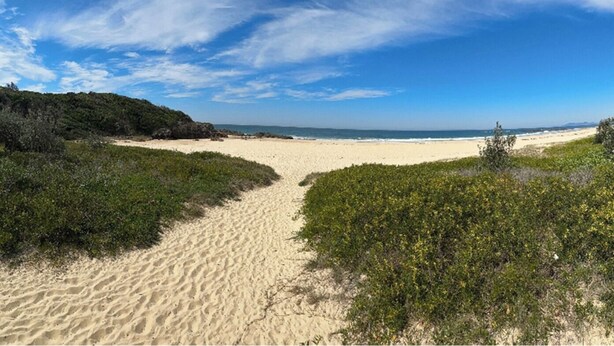 Ein Strand mit einem Sandweg, der zum Ufer führt, umgeben von viel Grün.