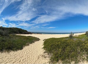 Ein Strand mit einem Sandweg, der zum Ufer führt, umgeben von viel Grün.