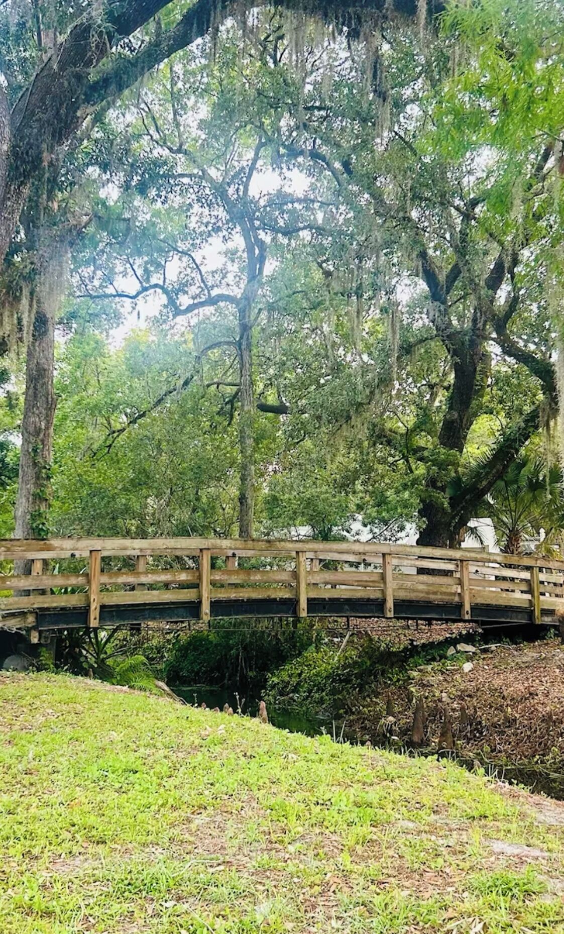 A wooden bridge over a stream in a park with trees and grass.