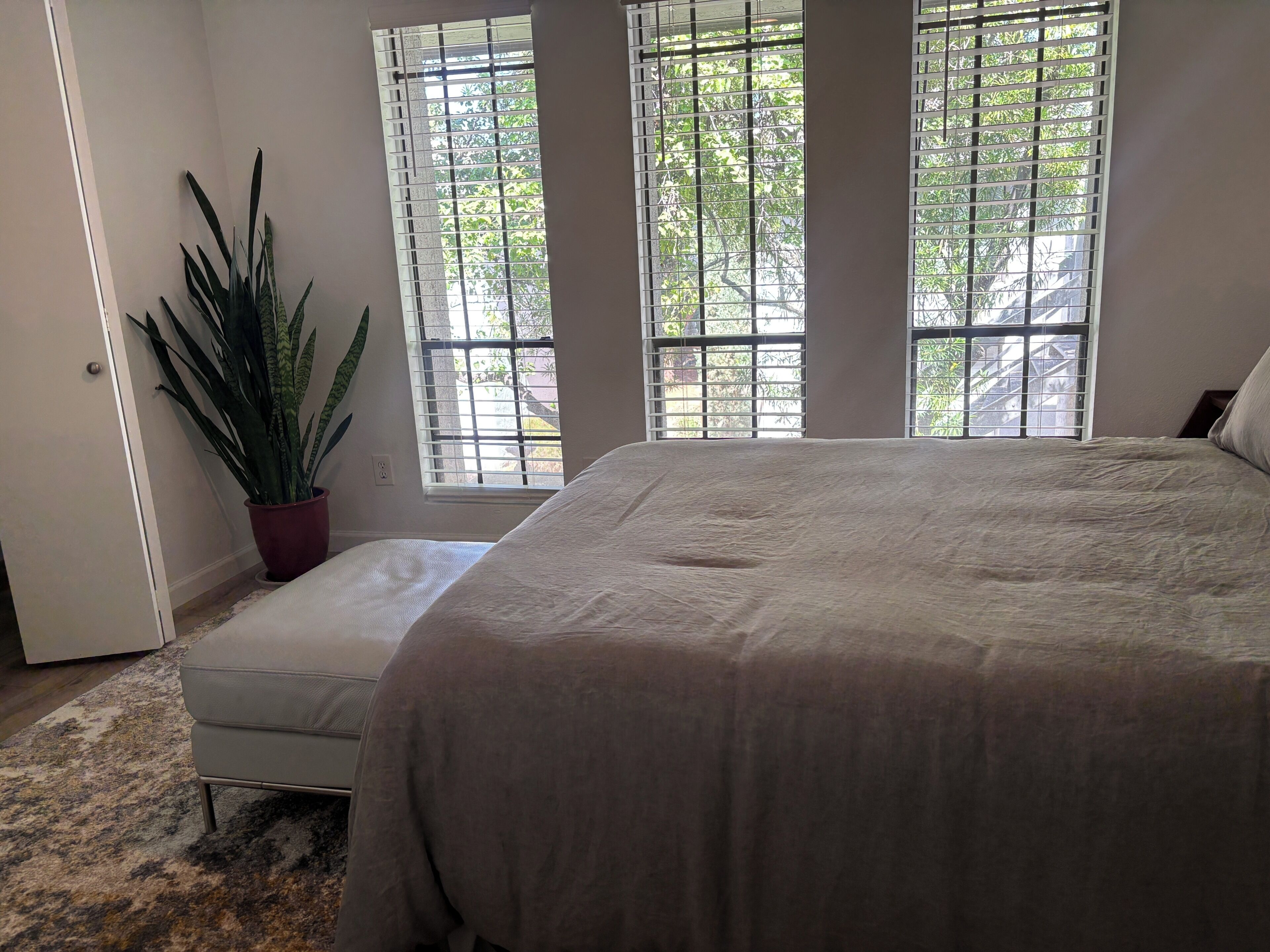 A bedroom with a bed, a potted plant, and two windows with blinds.