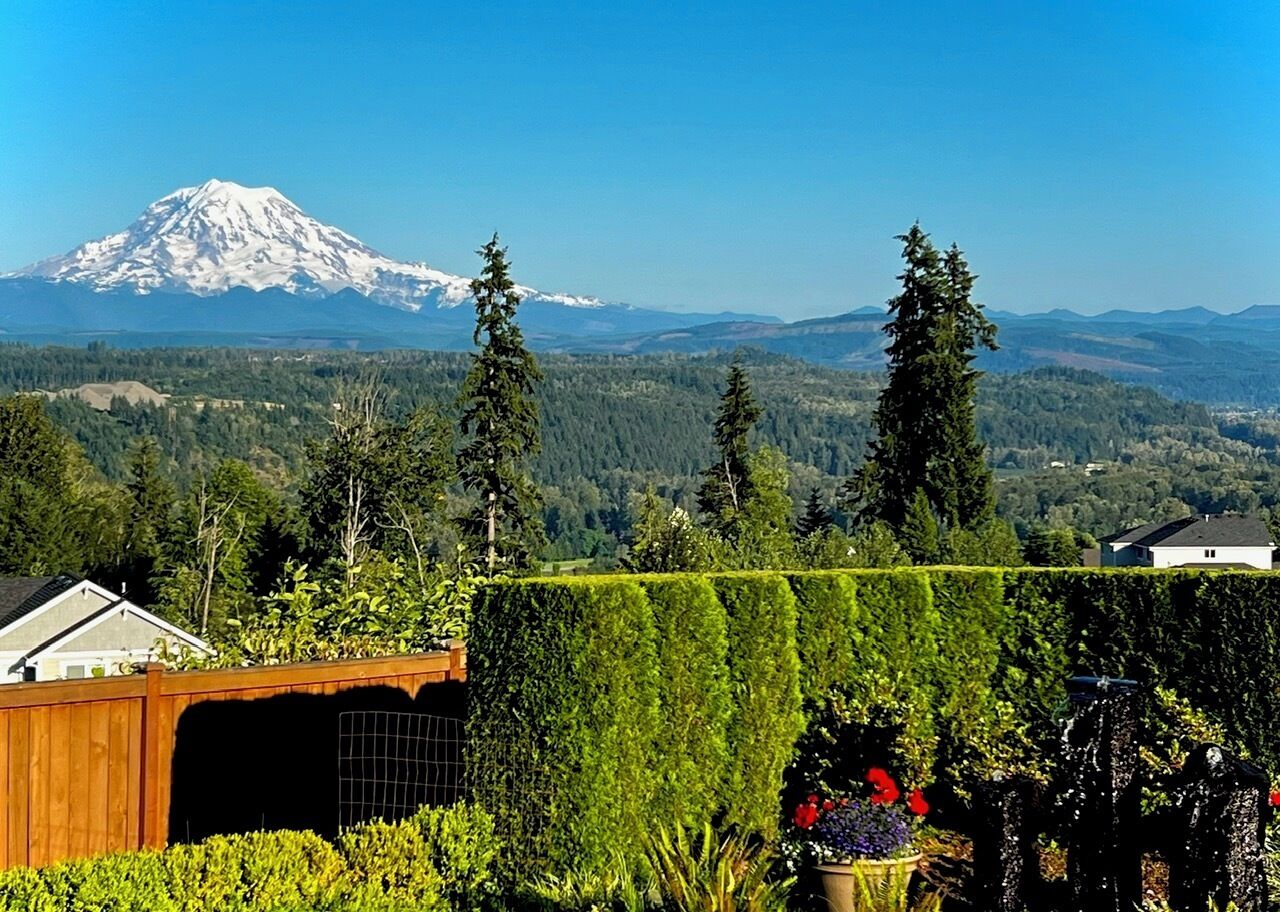 Àrea exterior de l'allotjament