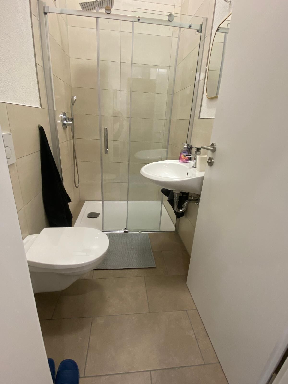 Dusche, Handtücher, Seife, Toilettenpapier