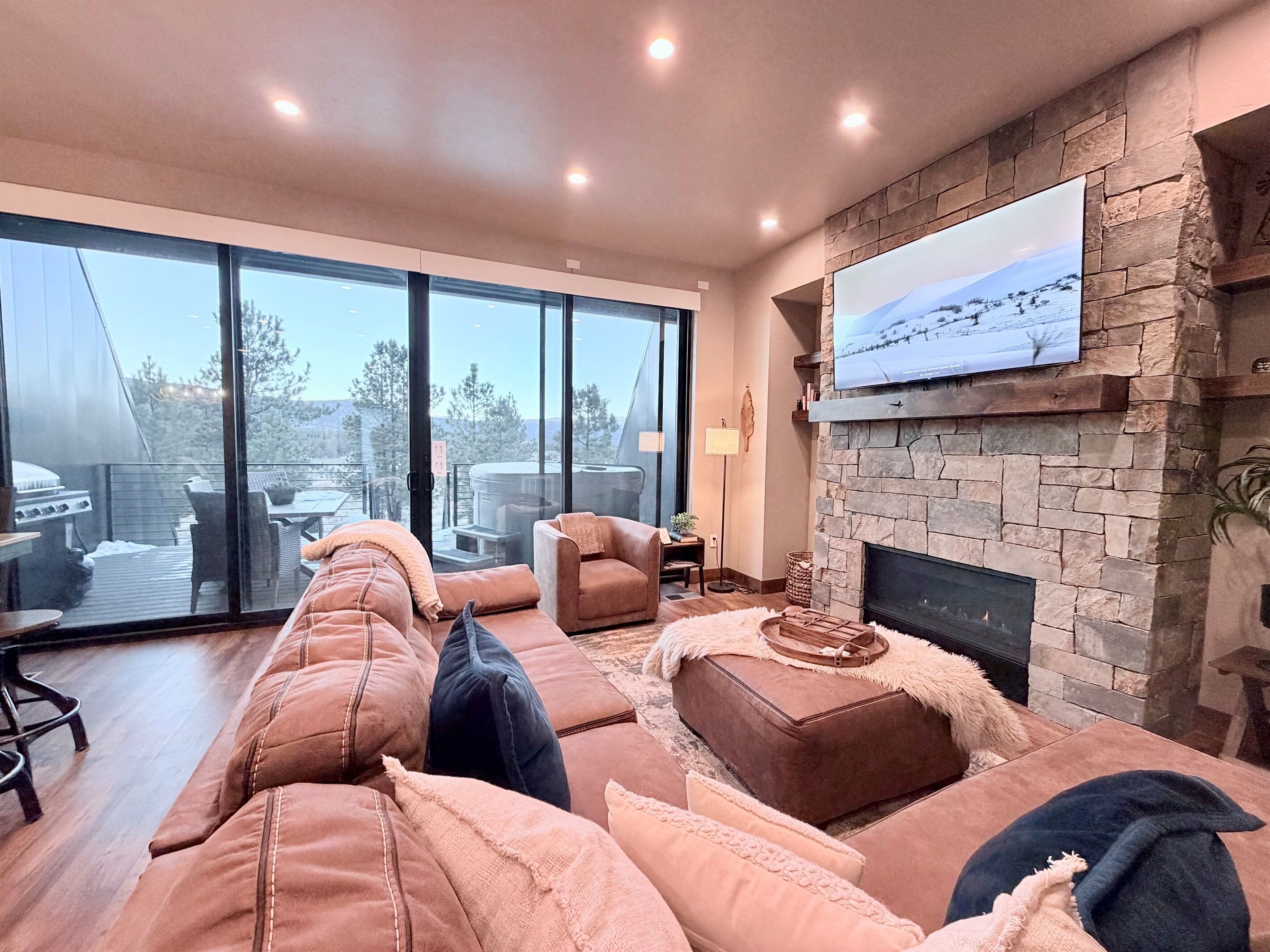 Smart TV, fireplace, books