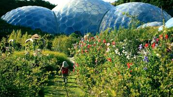 Jardines del alojamiento