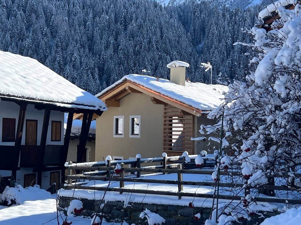 Bild für Gastgeberprofil