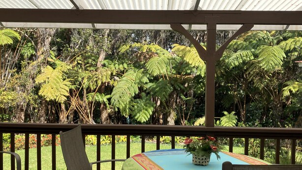 A covered outdoor seating area with a table and chairs, surrounded by lush greenery and trees. - Serene country home in charming Volcano Village near the Volcano National Park. (Volcano)