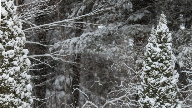 Oklassificerad bild, 1 av 13, knapp